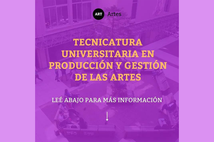 tecnicatura artes